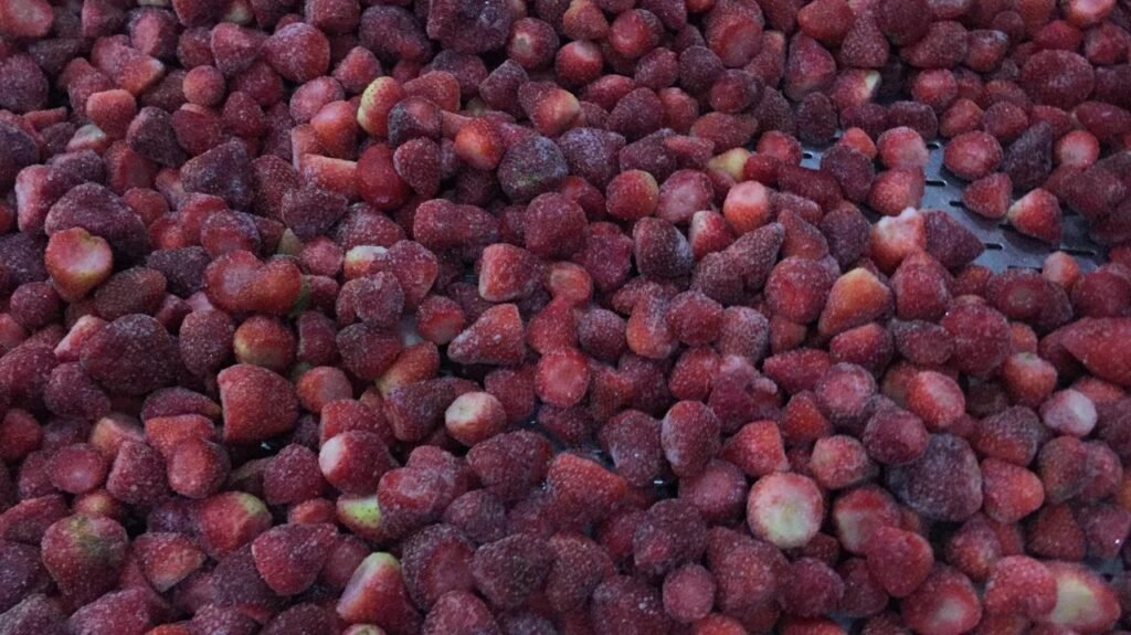 STRAWBERRY IQF - Image 2